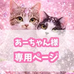 あーちゃん様専用ページ♡