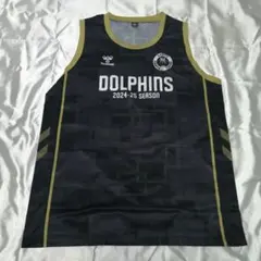 名古屋ドルフィンズ