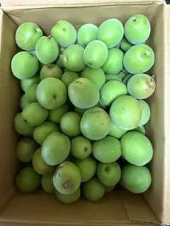沖縄県産 規格外品 フレッシュナツメ700g - メルカリ