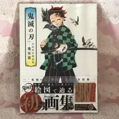 『鬼滅の刃』吾峠呼世晴画集―幾星霜―