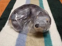LONG LONG DACHSHUND シルバー　ガチャガチャ　キーホルダー