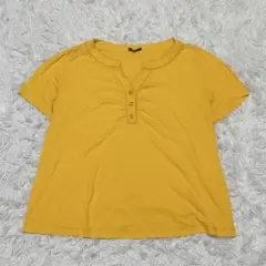 PISANO 半袖Tシャツ XL きつね色 コットン 綿 日本製 トップスのサムネイル