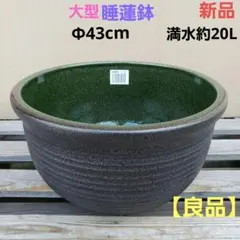 2026年最新】水鉢 大型の人気アイテム - メルカリ