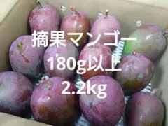 摘果マンゴー5.9kg 摘果マンゴー 5.9キロ （箱込みの重さ） 送料無料！ - メルカリ