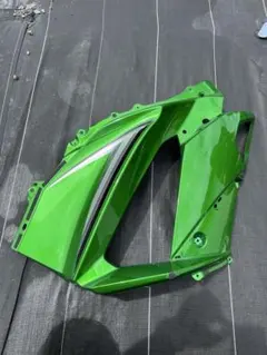 カワサキ 純正 Ninja H2 SX SE サイドカウル 55028-0826 - メルカリ