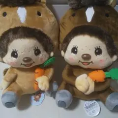 Item thumbnail for item e62bb778-eeb1-4a59-9973-30b02c841146