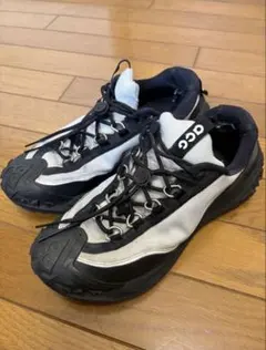 COMME des GARCONS✖️NIKE acgのサムネイル