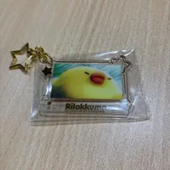 エニマイ 쿠지 리락쿠마 キイロイトリ