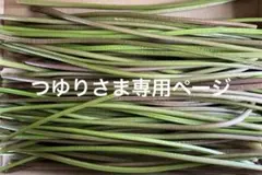 つゆり様専用ページ①