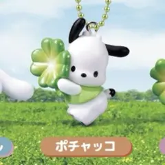 サンリオ キャラクターズ よつばのクローバー マスコット　ポチャッコ