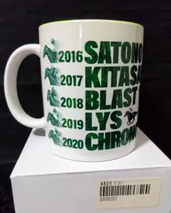 限定品&新品&未使用】有馬記念 マグカップ ウマ娘 エフフォーリア
