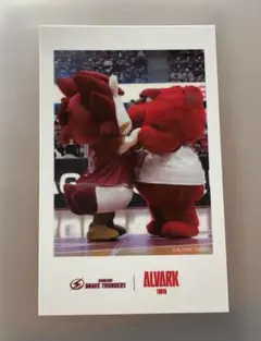 川崎ブレイブサンダース アルバルク東京 マスコット フォト風カード