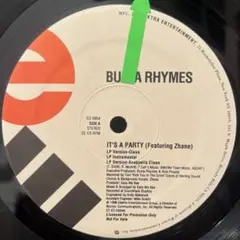 Busta Rhymes It's a Party レコード