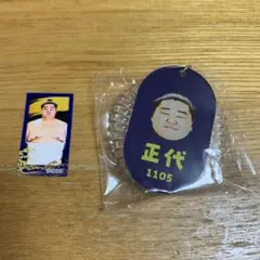 正代　ガチャ　相撲