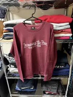 Stussy Increasing the Peace 長袖Tシャツ