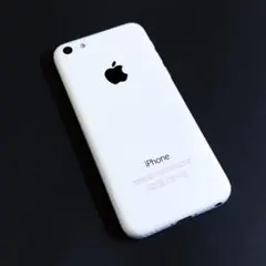 Item thumbnail for item a4b39b81-a3d7-4d39-83a9-45717ae3fdc6