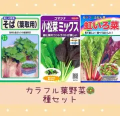 KT様 リクエスト 2点 まとめ商品