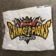 Item thumbnail for item 1543700f-7a76-44a2-ac54-1da5bda50b3a