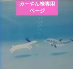 みーやん様専用ページ