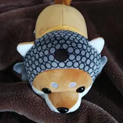 【プロフ商品説明必読】浅草 ハッピー豆柴 特賞 黒柴【即購入⭕️】 プロフ商品説明必読】浅草 ハッピー豆柴 特賞 黒柴【即購入