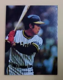 2025年最新】プロ野球カード 田淵の人気アイテム - メルカリ