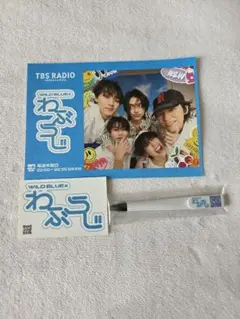 WlLD BLUE わぶらじ　ステッカー・フライヤー　wildblue