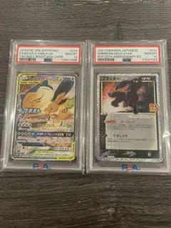 【PSA10セット】イブカビSA ＆ ブラッキー25th【30周年特選】
