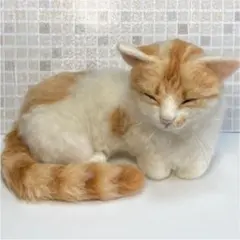 羊毛フェルト 猫 茶トラ ちゃとら キジトラ L L Lサイズ サンプルページ