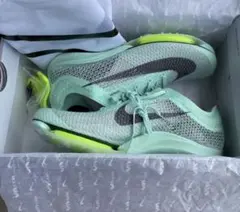 エアズームヴィクトリー 25