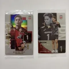 西田有志 バレーボール日本代表 トレーディングカード 2枚セット