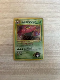 極美品】エリカのラフレシア ☆ ジム拡張第1弾 リーダーズスタジアム