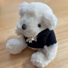 Item thumbnail for item 2dfac17d-e651-4b56-b483-580dfbc02895