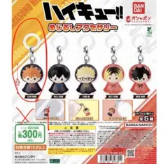 ハイキュー！！めじるしアクセサリー 日向翔陽