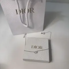 【Dior】Clair D Lune ネックレス シルバー