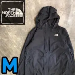 10T7120 THE NORTH FACE マウンテンパーカー　古着