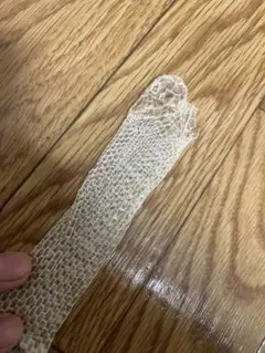 Item thumbnail for item ae950bfe-343a-4bed-bcfc-1fdd1d7630bc