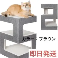 Item thumbnail for item d1efd922-3c75-4a76-811b-e665b14de2c4