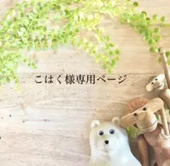 ⭐️こはく様専用ページ⭐️