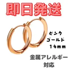 ステンレスフープピアスメンズ レディース 両耳