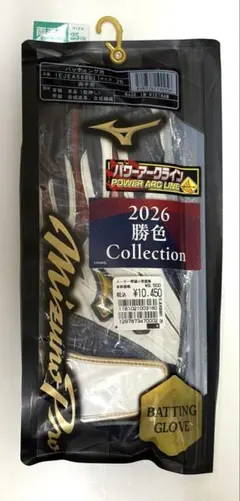 【限定】ミズノプロ バッティンググローブ 25cm 2026 勝色 両手用