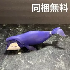 Item thumbnail for item 231d48e2-caea-428a-a73e-df5976f1a69d