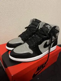 Nike AIR Jordan 1 RETRO HIGH OG 29cm