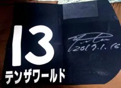 2025年最新】サイン入り ゼッケンの人気アイテム - メルカリ