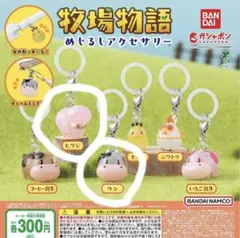 牧場物語 めじるしアクセサリー セット