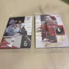 山内晶大 バレーボール 日本代表 カード 2枚セット