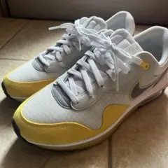 Nike Air Max グレー/イエロー 10.5モチーフ