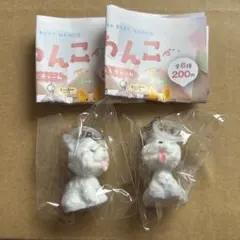 コロンとべびわんこ　よーきー　2個セット
