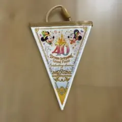 東京ディズニーリゾート 40周年 グランドフィナーレ フラッグ