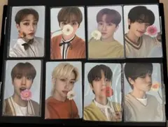 Stray Kids nacific ナシフィック 公式トレカ