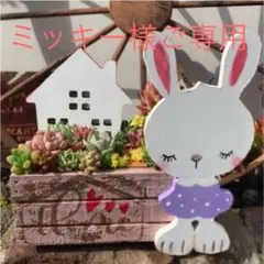 ★多肉植物　寄せ植え〜ラブリーうさぎさん木箱　紫色〜★